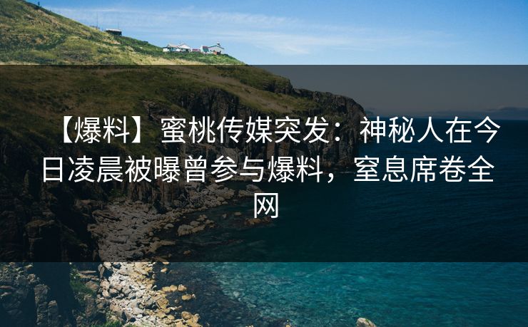 【爆料】蜜桃传媒突发：神秘人在今日凌晨被曝曾参与爆料，窒息席卷全网