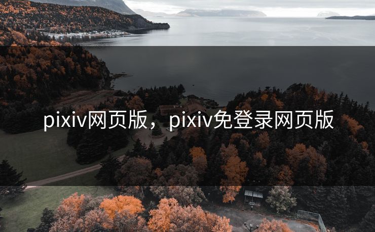 pixiv网页版，pixiv免登录网页版