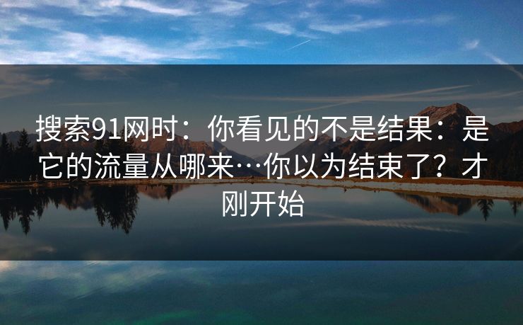搜索91网时：你看见的不是结果：是它的流量从哪来…你以为结束了？才刚开始